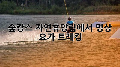 숲캉스🌿 자연휴양림에서 명상🧘‍♀️ 요가🧘‍♂️ 트레킹🥾